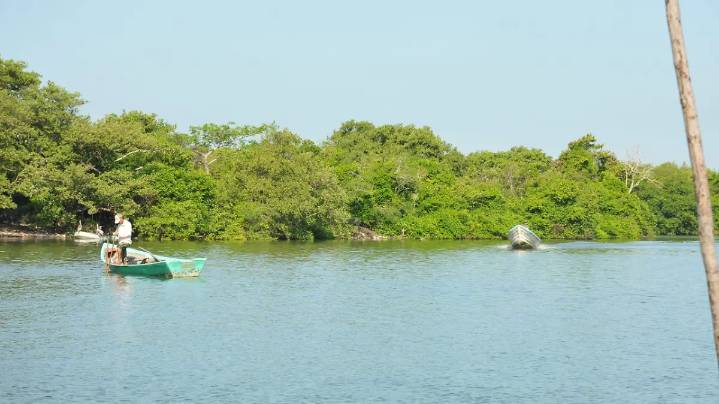 “La laguna necesita respirar o la pesca morirá”: pescadores piden dragado en Veracruz