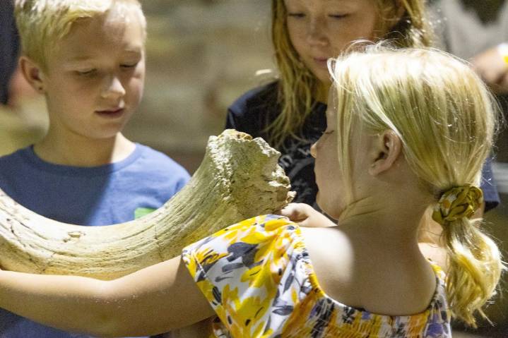 Hemet’s Western Science Center will host PaleoCon fossil