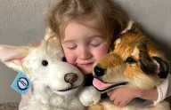 Niña conmueve al recibir un obsequio que le da consuelo por la pérdida de sus perros en un incendio