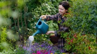 The Dazzling Purple Plant That'll Effortlessly Fill Your Yard With Lasting Blooms