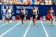 Who Organizes the Diamond League Every Year? All You Need to Know About the Diamond League Sponsors The Wanda Diamond League is a global track and field series organized by the Diamond League Associat