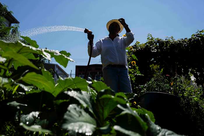 Green spaces are key to combating record heat in marginalized communities