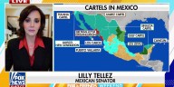 Mexican senator warns cartels have ‘infested’ her nation