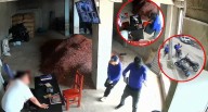 Jaén: ladrones disfrazados de censistas asaltan local de café