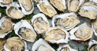 Utah County norovirus outbreak linked to oysters