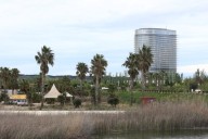 El PSOE propone una piscina municipal para perros en el Parque del Agua de Zaragoza