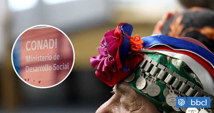 Secretario de Consulta Indígena se desmarca de Conadi y dice que no se busca modificar la Ley Indígena