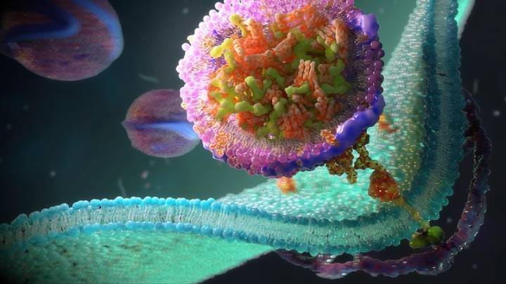 Experimental Med May Slow Alzheimer’s Biomarker Progression