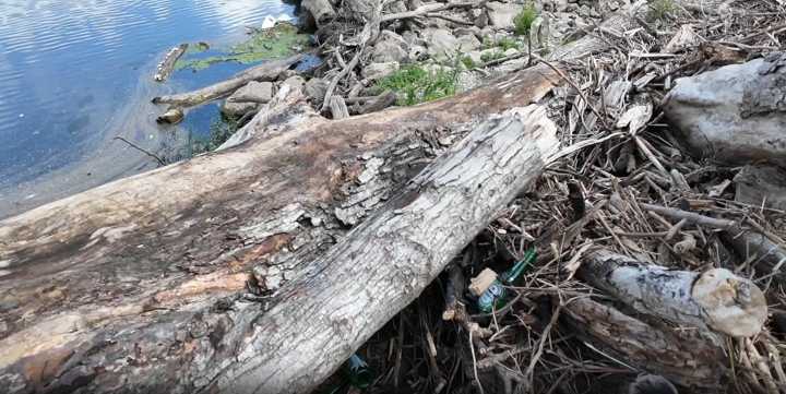 Volunteers roll up their sleeves to beautify Belmont Beach, surrounding neighborhoods