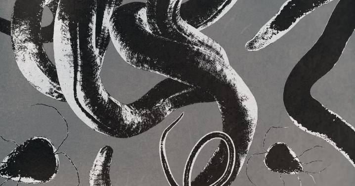 You May Be Hosting a Parasite Right Now