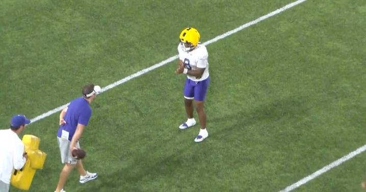 Ju’Juan Johnson shifts to RB to restore LSU backfield depth
