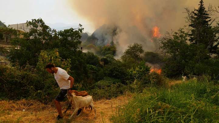 Climate change made deadly wildfires in Turkey, Greece and Cyprus more intense, study finds