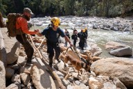 FEMA Tells Staff to Work for ICE or Risk Getting Fired