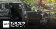 Tree crushes car in Lincoln, driver escapes with minor injuries