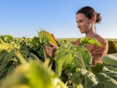 “Las otras plagas”: la campaña de Syngenta que propone cambiar el paradigma de la comunicación en el agro