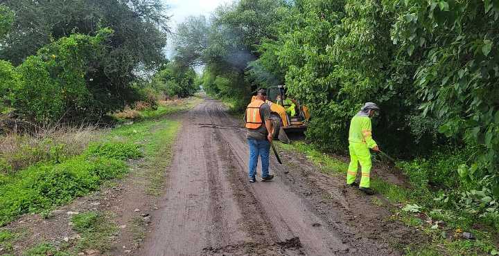 Precaución: hay mantenimiento en carretera Cuatro Caminos