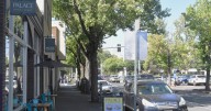 Safety in downtown Eugene: business leaders, homeless advocates, and police chief talk solutions