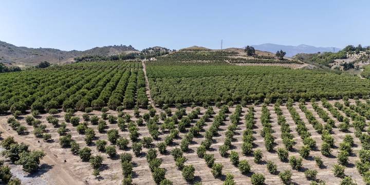 Trump’s Shameful Anti-Immigrant Policies Are Starting to Disrupt Food Supplies