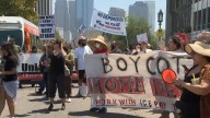 Protesters descend upon MacArthur Park in opposition of immigration raids