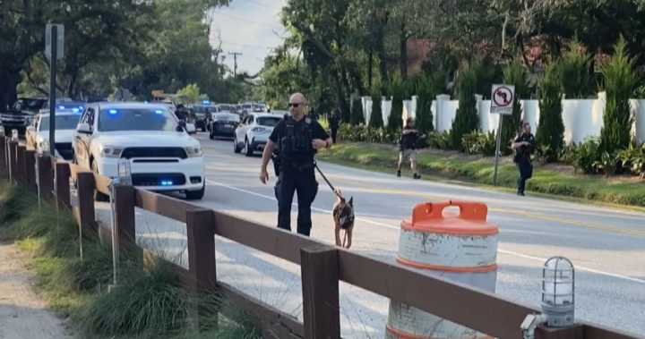 Prank calls prompted large police response in James Island