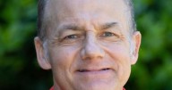 TIMOTHY DALY: Be aware of caterpillars that inflict painful stings