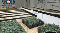 Detienen a 26 personas en 13 operaciones con más de 3.000 plantas de marihuana intervenidas en Granada