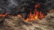 Ola de incendios en España llega a su fin