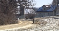 UW-Madison responds to being named among buyers from embattled beagle breeder