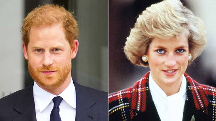 Prince Harry ‘Furious’ Over Princess Diana’s Name Used in Charity Feud