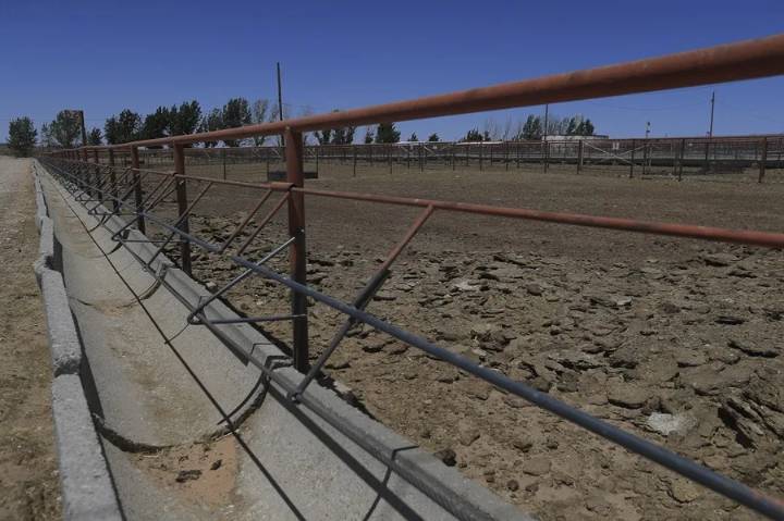 México y EE.UU. acuerdan un plan binacional contra la plaga del gusano barrenador