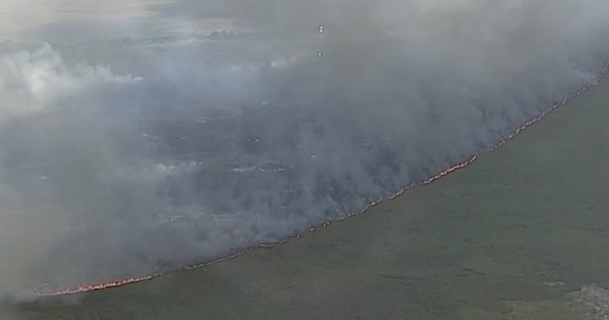 Arden los Everglades de Florida y alertan sobre la calidad del aire
