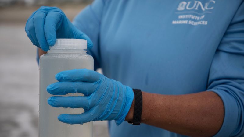 Flesh-eating bacteria cases are rising. Climate change is to blame, say scientists