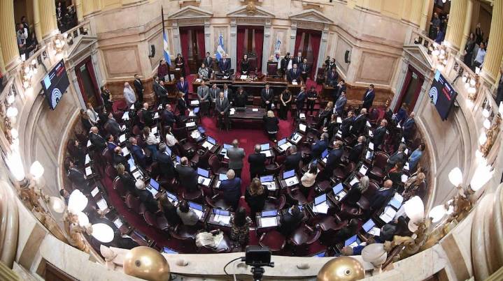 Victoria opositora en el Senado: el trasfondo de la sesión que derogó cinco decretos clave para el Gobierno