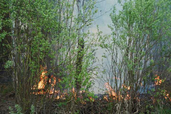Satellite images reveal conditions that contributed to 'catastrophic' wildfire season
