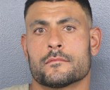 Dolphins assistant coach Ryan Crow arrested