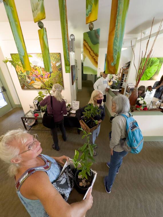 VAC hosts annual Forest Fair this Saturday