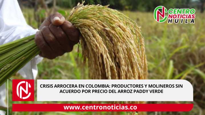 Crisis arrocera en Colombia: productores y molineros sin acuerdo por precio del arroz paddy verde