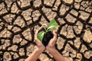 Ritmo del calentamiento global sigue en aumento