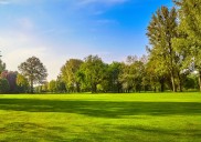 ¿Ciudades con más jardines? Los científicos alertan sobre la urgente necesidad de vegetación para combatir el calor