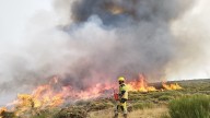 Amaina la fuerza de los incendios en Castilla y León pero 8 sigue en nivel 2 de gravedad
