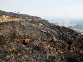 Spain suffers third wildfire death as thousands remain displaced in Europe