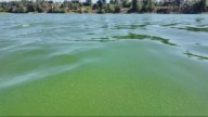 Health advisory issued for Ross Island, Willamette River algae bloom