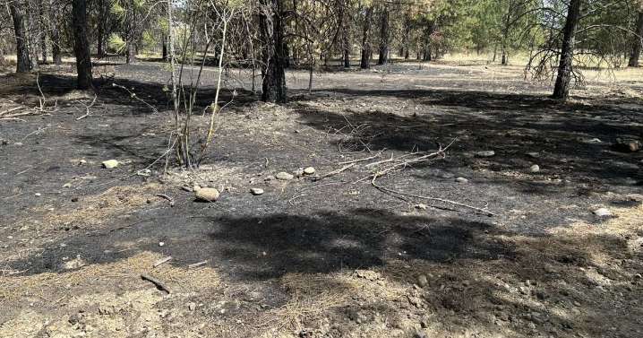 Spokane County fire departments see record fire calls