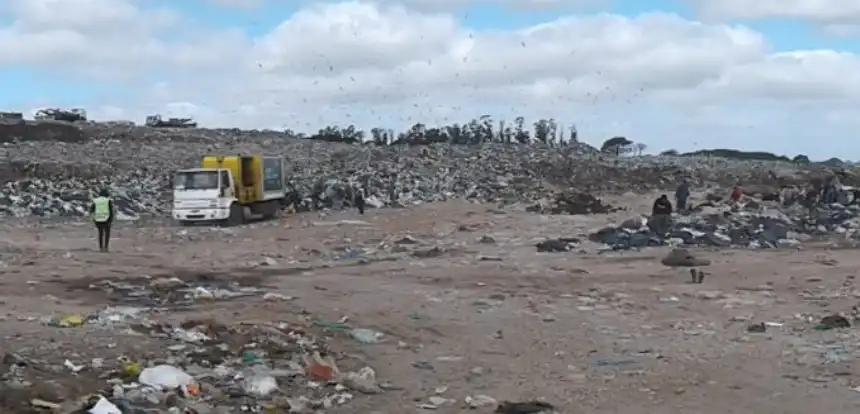Más marplatenses buscan subsistir en el predio de residuos