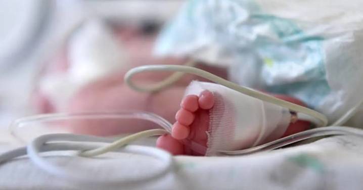 Investigará comisión médica externa y OPS, muertes de 12 neonatos en hospital de Ecuador