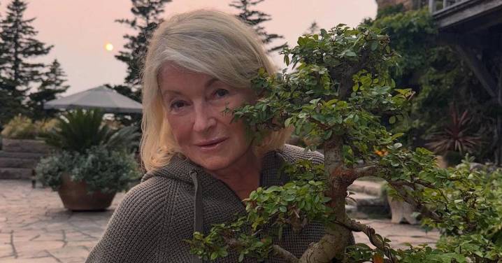 Martha Stewart Dismisses Rumors of Joining 'RHONY': 'Not a Housewife!'