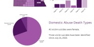 New Nebraska report calls for increased prevention, assessment regarding domestic violence deaths