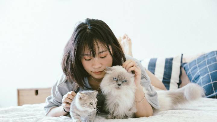 ¿Cómo cuidar los riñones de tu gato? 5 consejos de los expertos para ayudarle a que viva más