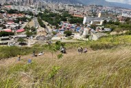Ministerio del Poder Popular para el Ecosocialismo siembra más de 74 mil plantas