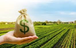U.S. farmland values continue to rise, but growth is slowing